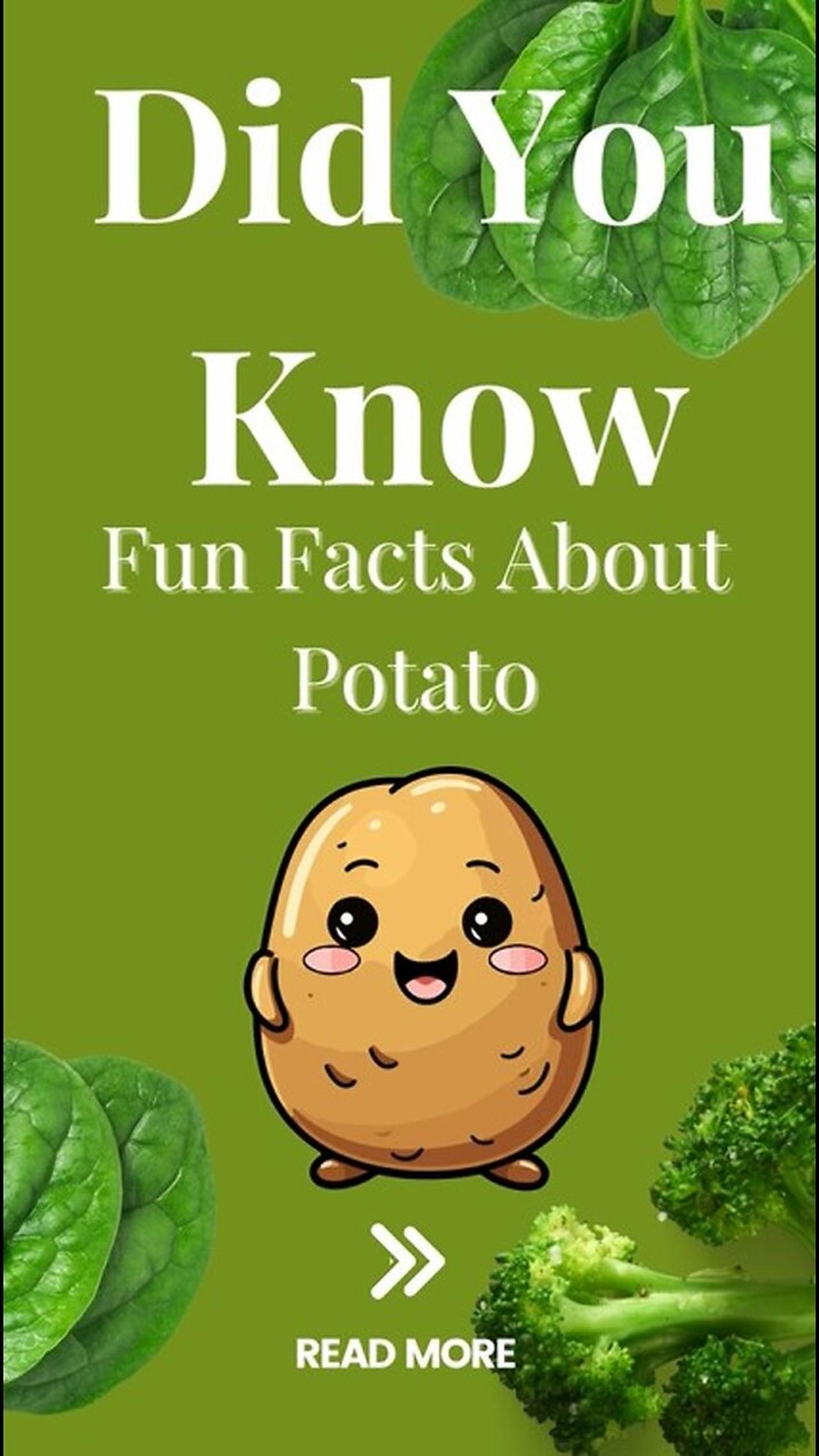 Fun Facts About Potato - One News Page VIDEO