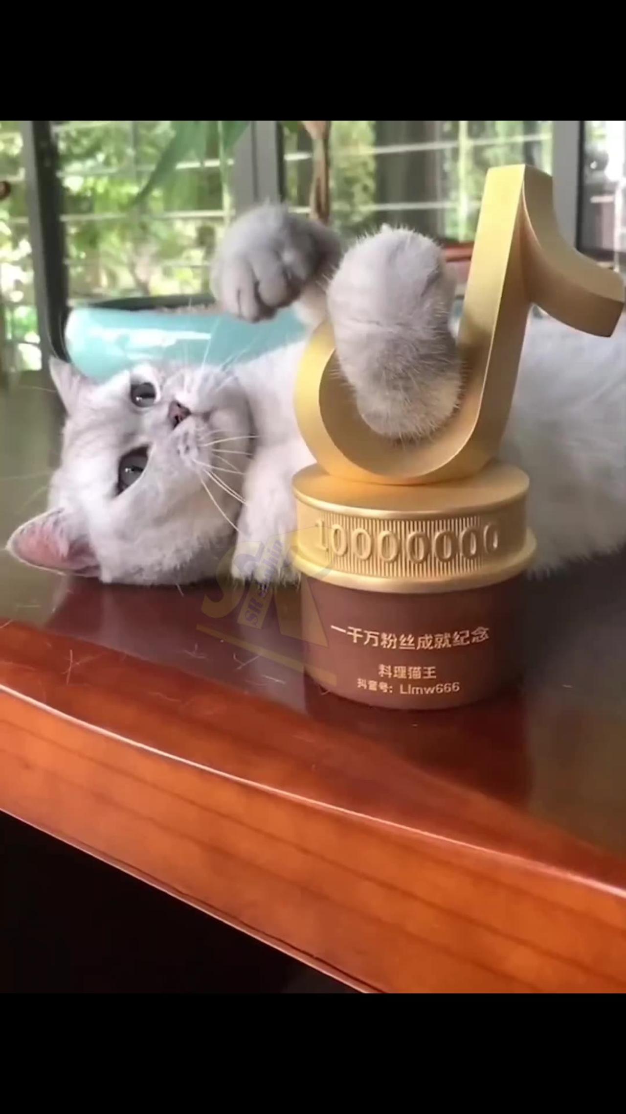 Best funny video in this world animals funny video part 2