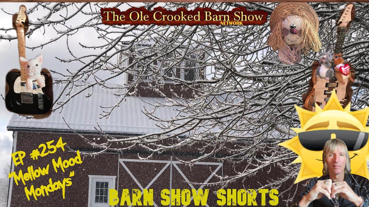 "Barn Show Shorts " Ep. #254 “Mellow Mood Mondays”