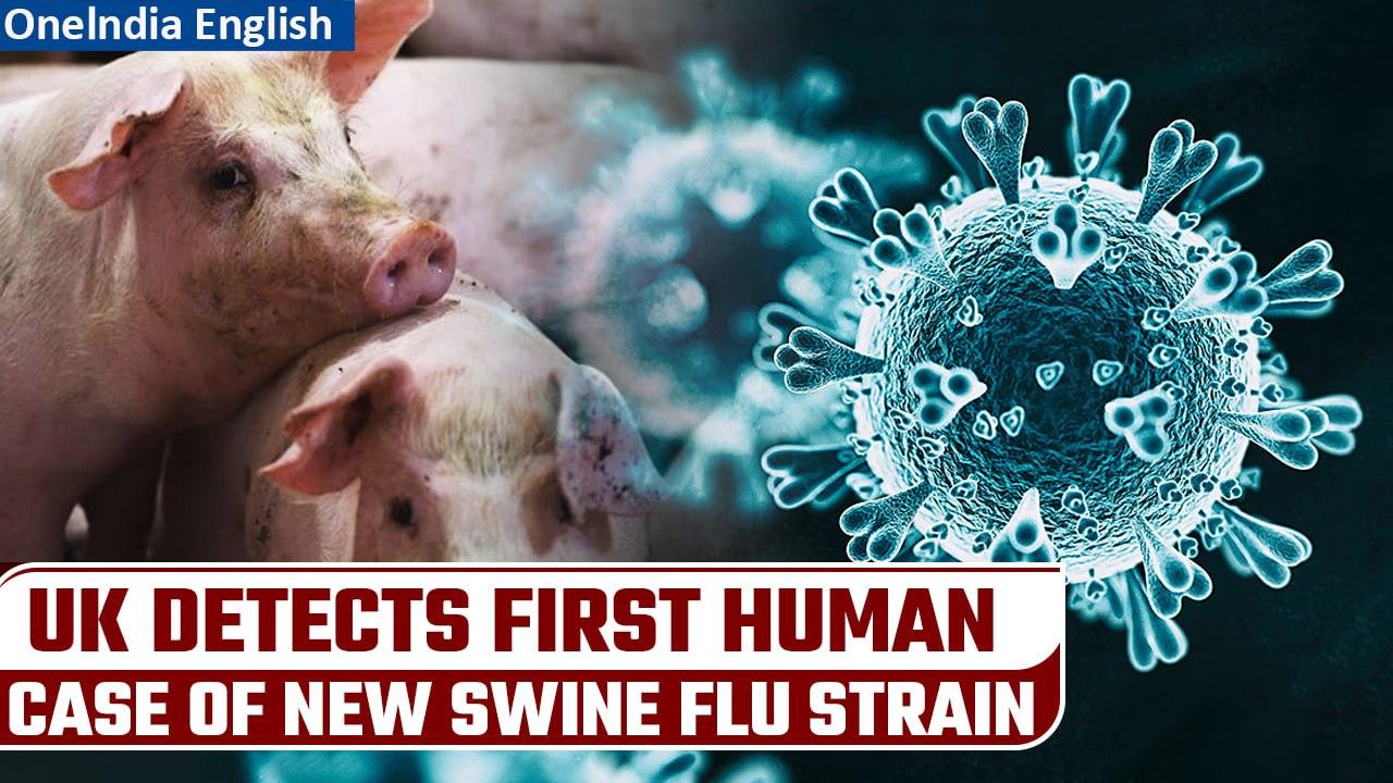 Swine Flu: First human case of new strain detected in UK | Public caution advised | Oneindia News