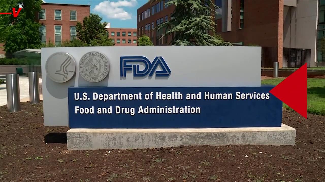 LifespanExtending Dog Drug Receives Encouraging One News Page VIDEO