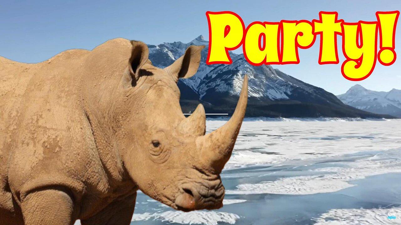 New Rhinoceros Party Policy?  Homage and Hope