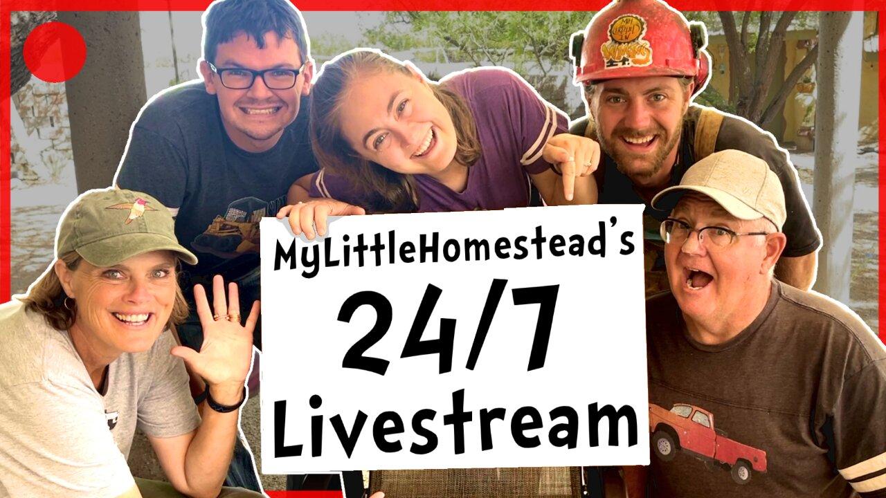 🔴Enjoy Endless Family Entertainment - 24/7 Livestream MylittleHomestead