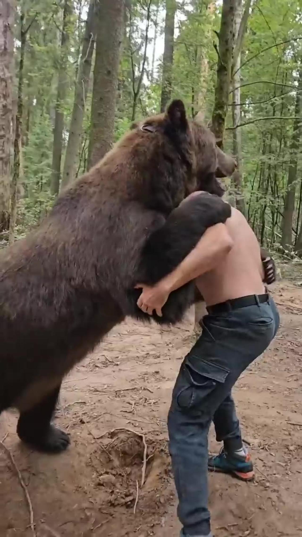 A bear attack on man this is most viral video from USA California forest