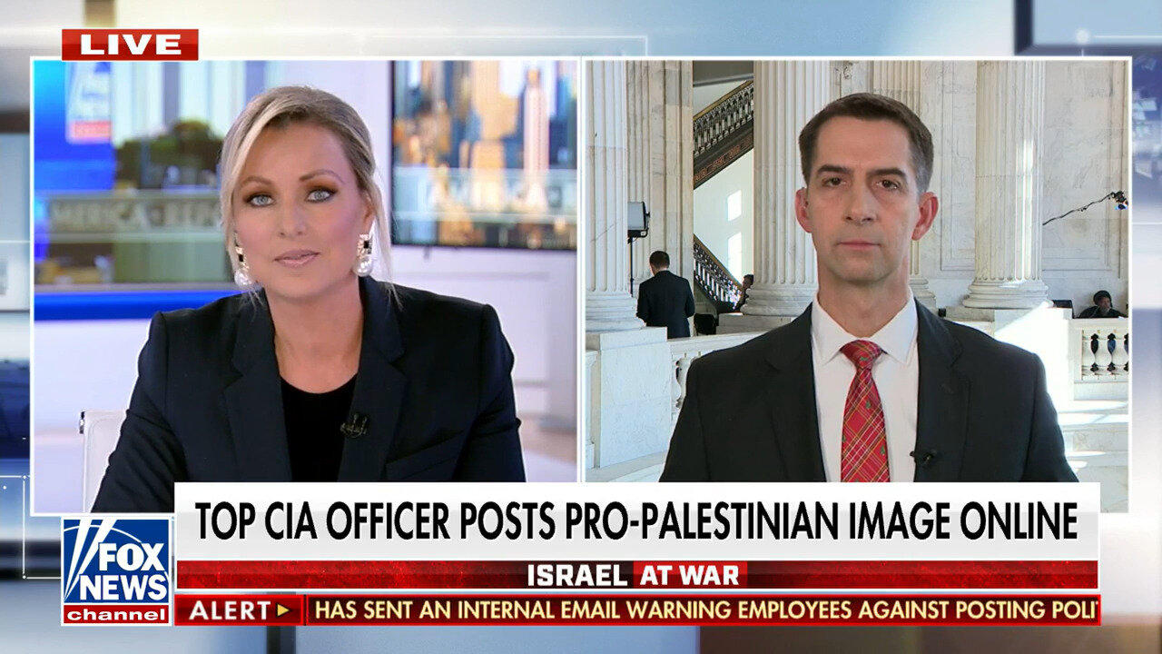 Top CIA Officer Posts Pro-Palestinian Image Online