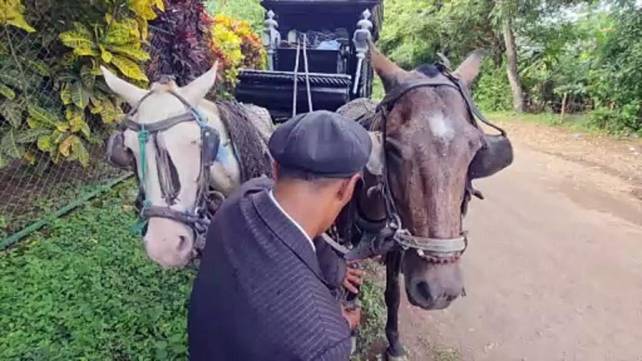 Nicaraguan town of Granada upholds 19th century tradition of horse-drawn hearses