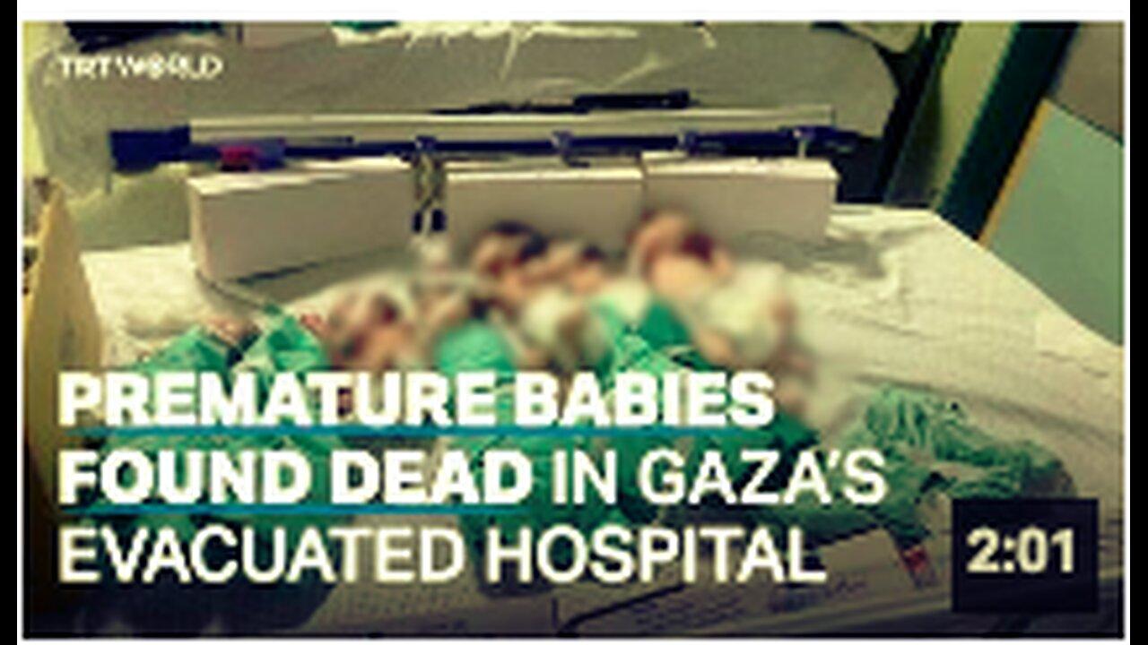 Decomposed bodies of premature babies found in Gaza’s Al Nasr Children’s Hospital