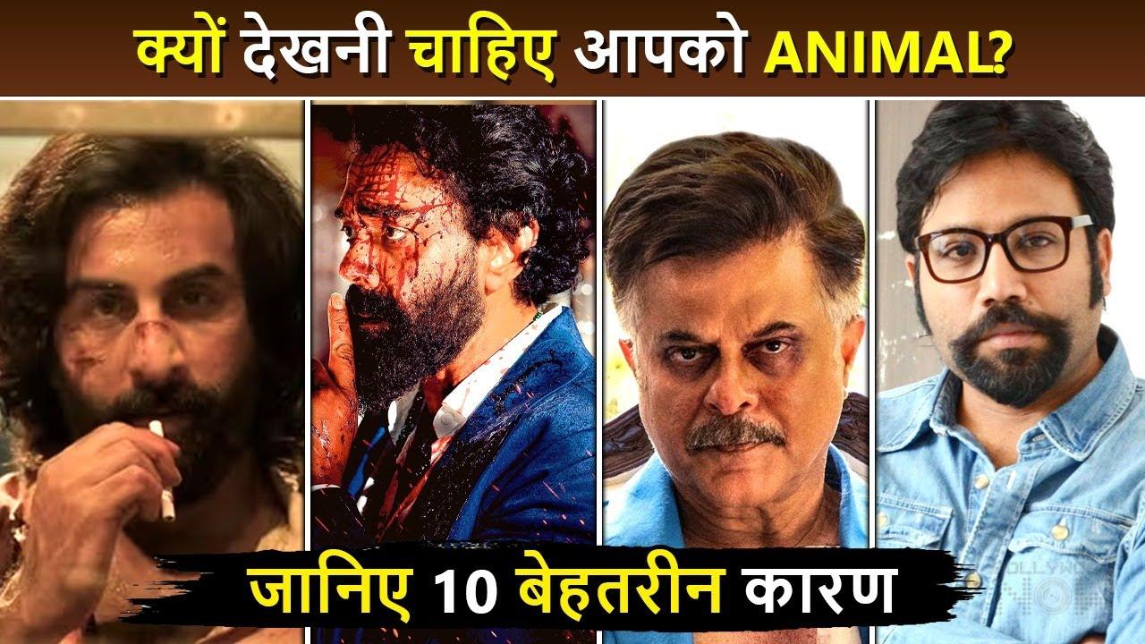 10 Reasons Why You Must Watch Animal A Lifetime Experience Ranbir Kapoor Bobby Deol Sandeep