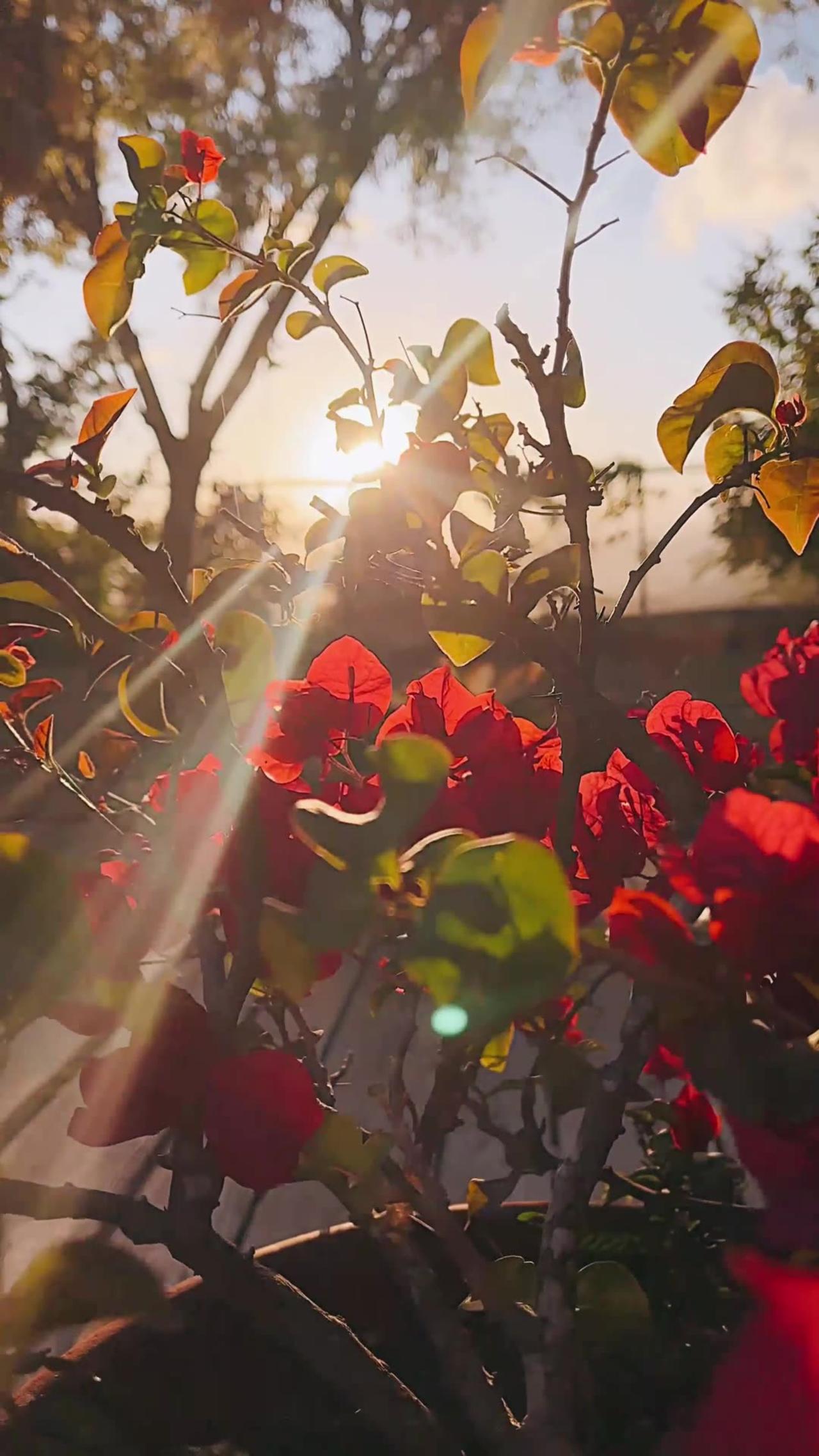 Shine on us psalm 80 jesus motivation one news page video
