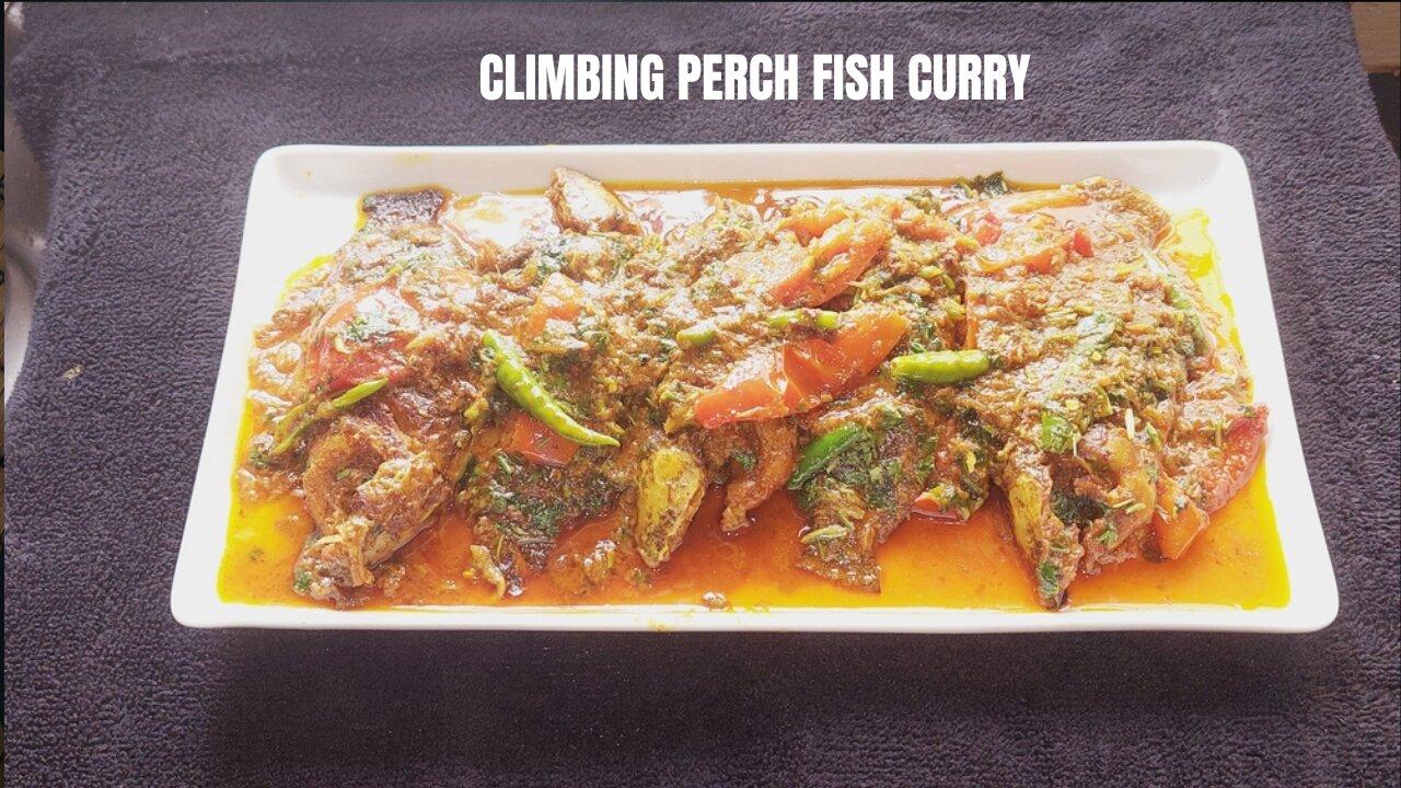 Climbing Perch Fish Curry