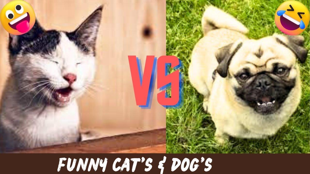 Funny animal videos | funny cat and dogs videos | funny videos 2023 | funny videos for kids