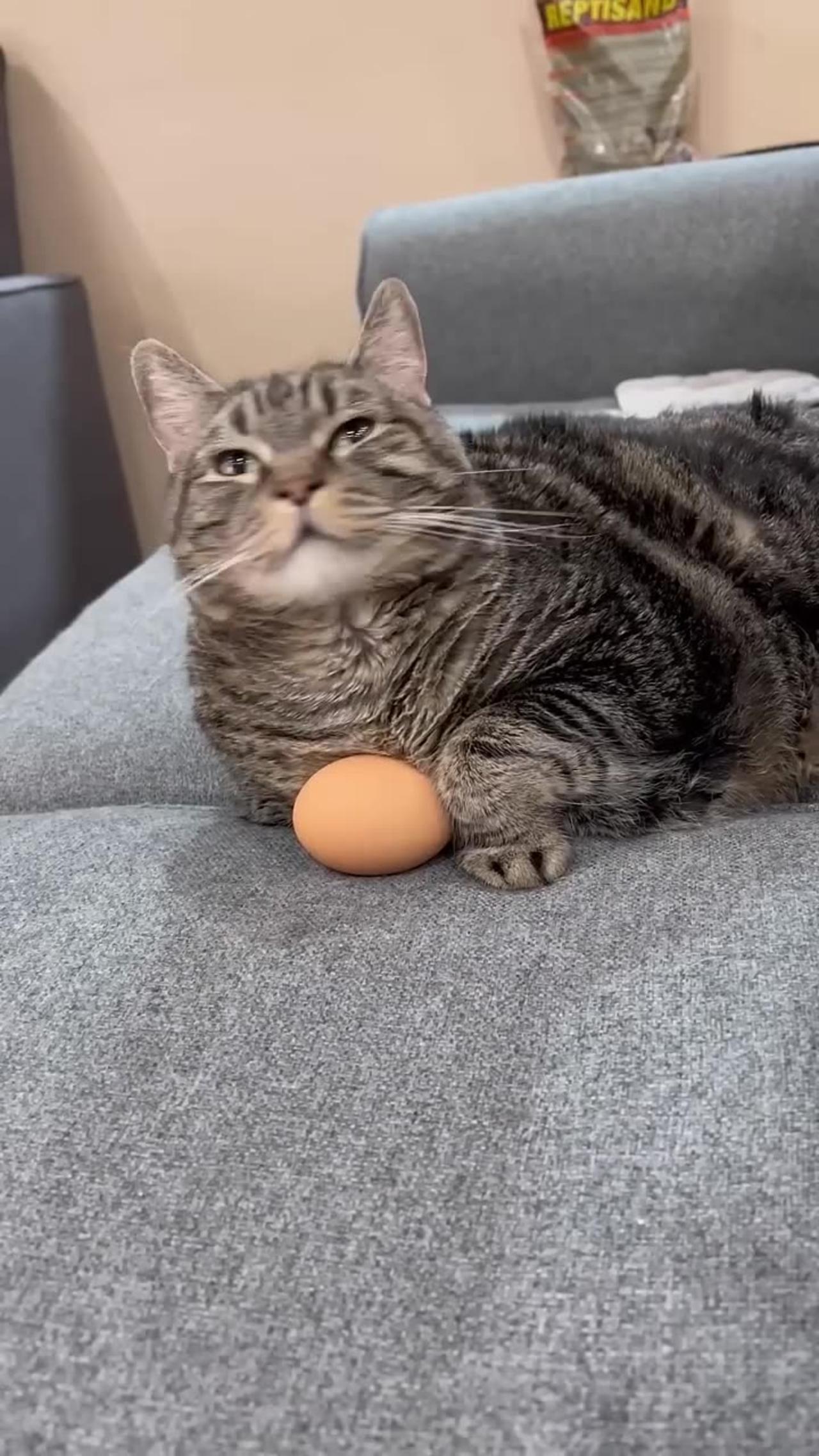 Now Will I Ever Get It Back One News Page Video