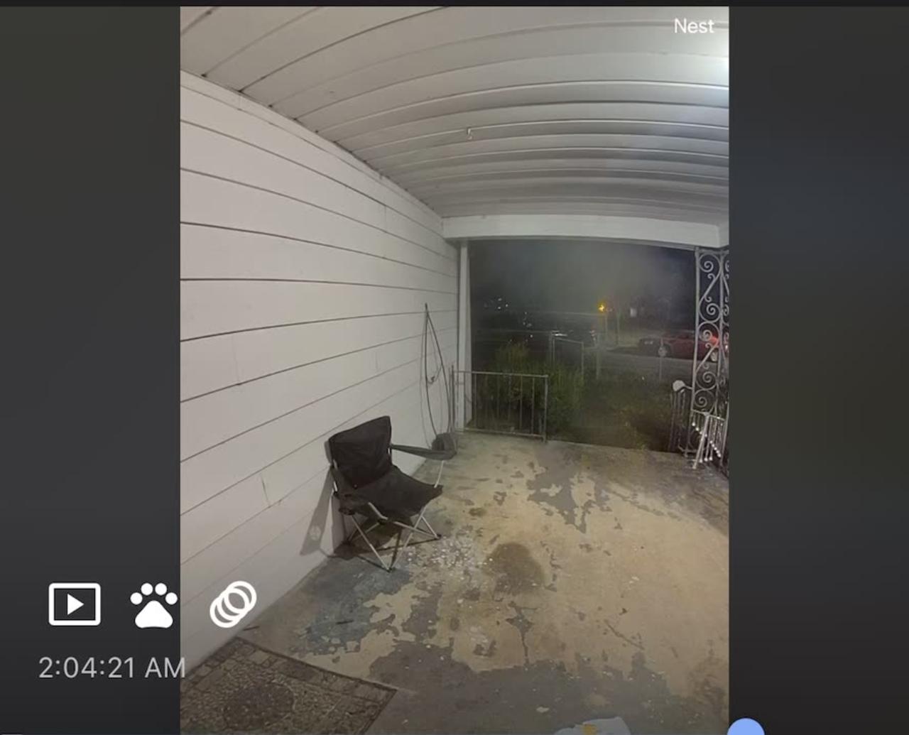 Neighbor's Dog Steals Package Off Porch