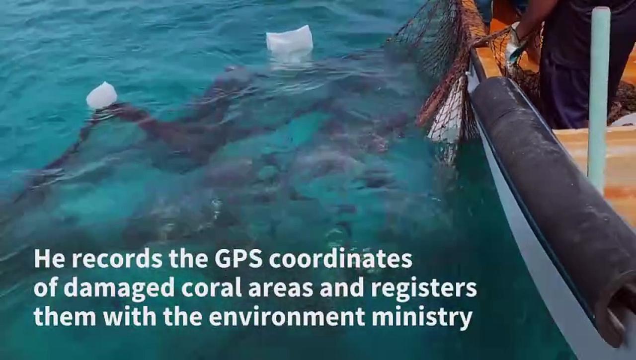 Volunteer divers guard Oman's coral reefs