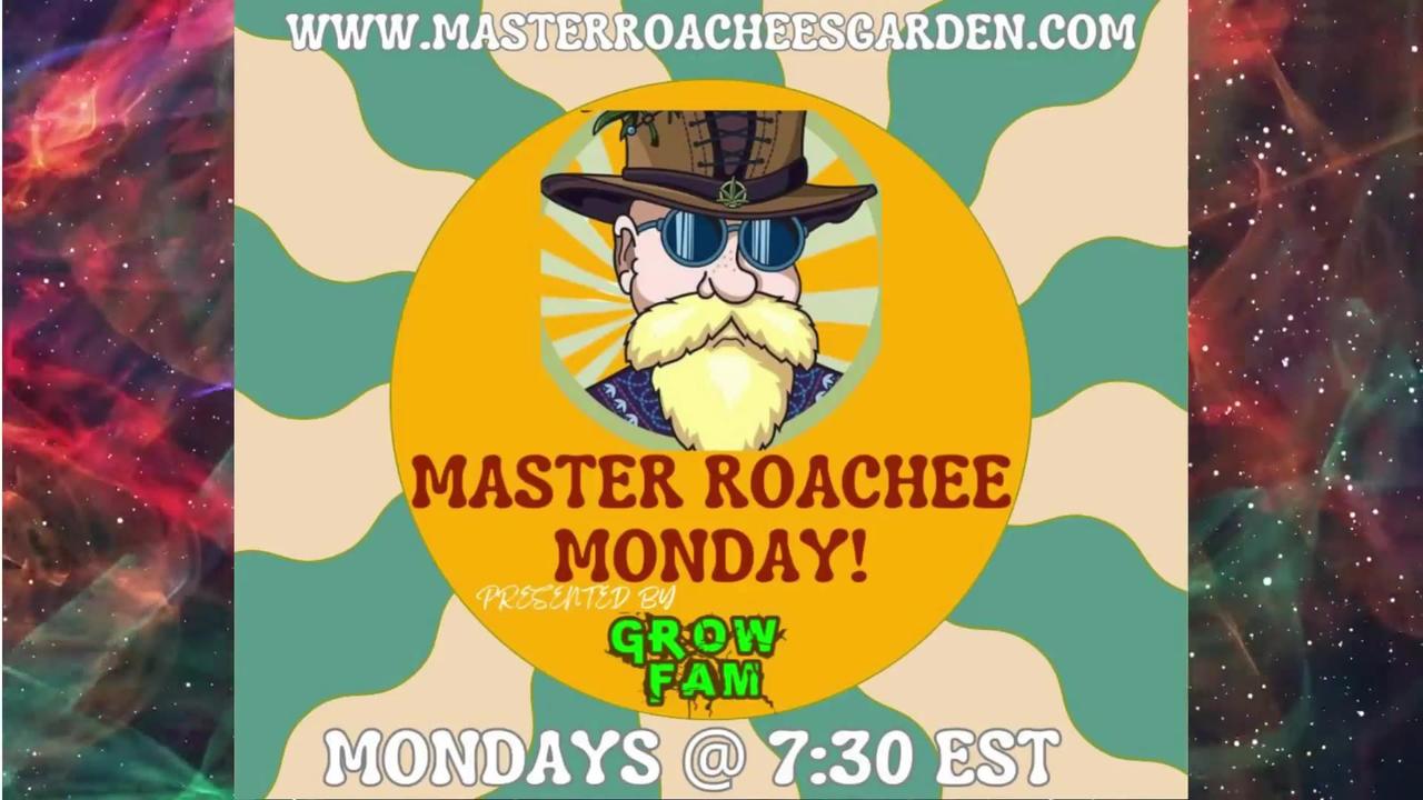 Monday's with Master Roachee