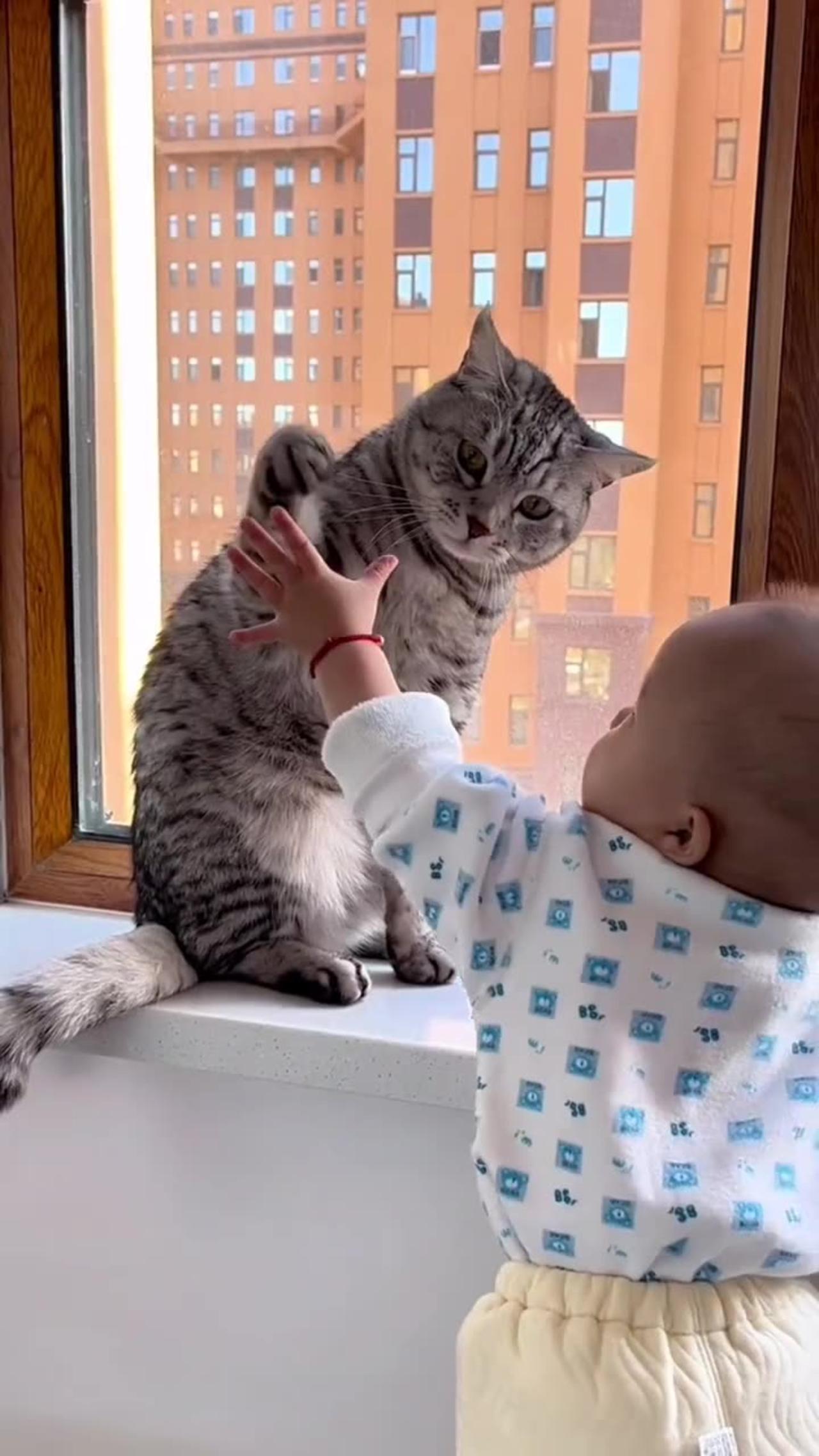 Beautiful cat playing with my baby.🤨😲