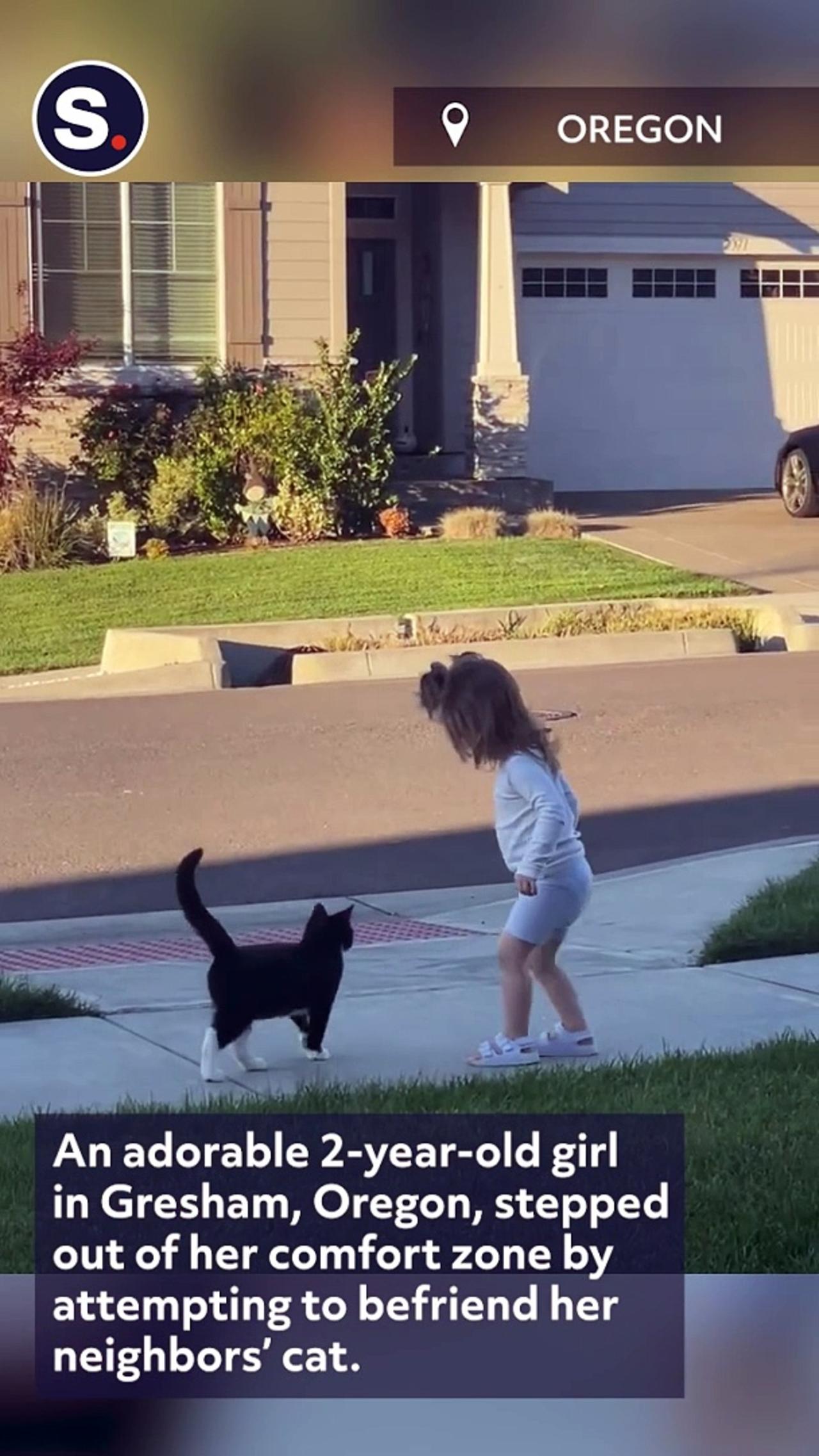 Adorable Moment 2-Year-Old Attempts to Befriend Neighbors' Cat
