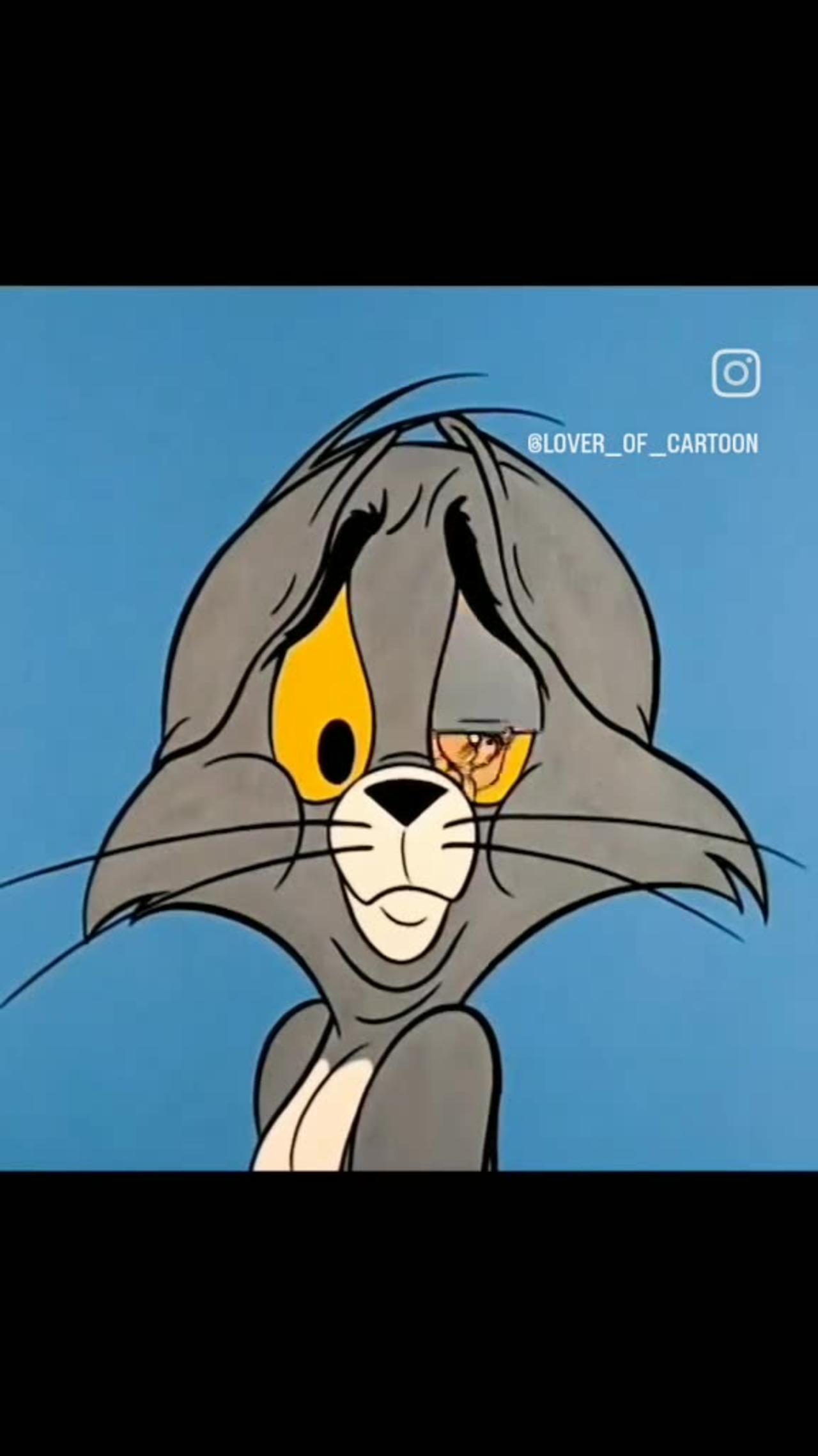 Tom & jerry