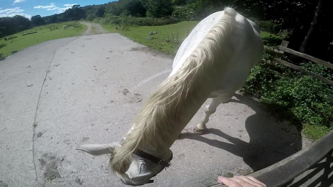 Cycle Ride Clearbrook to Charleston Tor Dartmoor Devon UK  Part 2.
