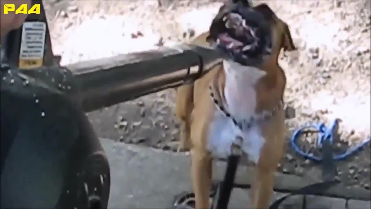 Funniest Fun Comedy amazing comedy video 2023 Episode 17 |  😂 Try Not To Laugh Funny Videos 2023