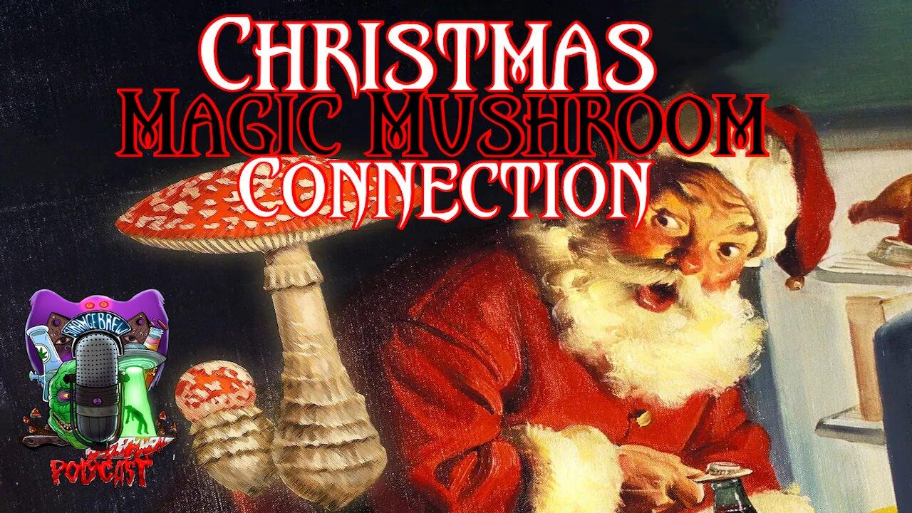 Christmas Magic Mushroom Connection!