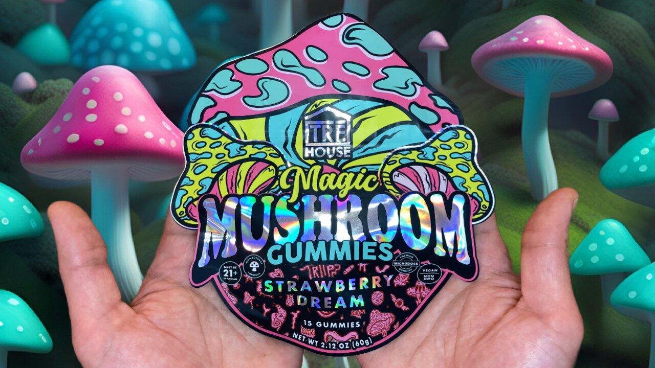 Tre House Magic Mushroom Gummies “Strawberry - One News Page VIDEO - Magic Mushroom Gummies Tre House Reviews