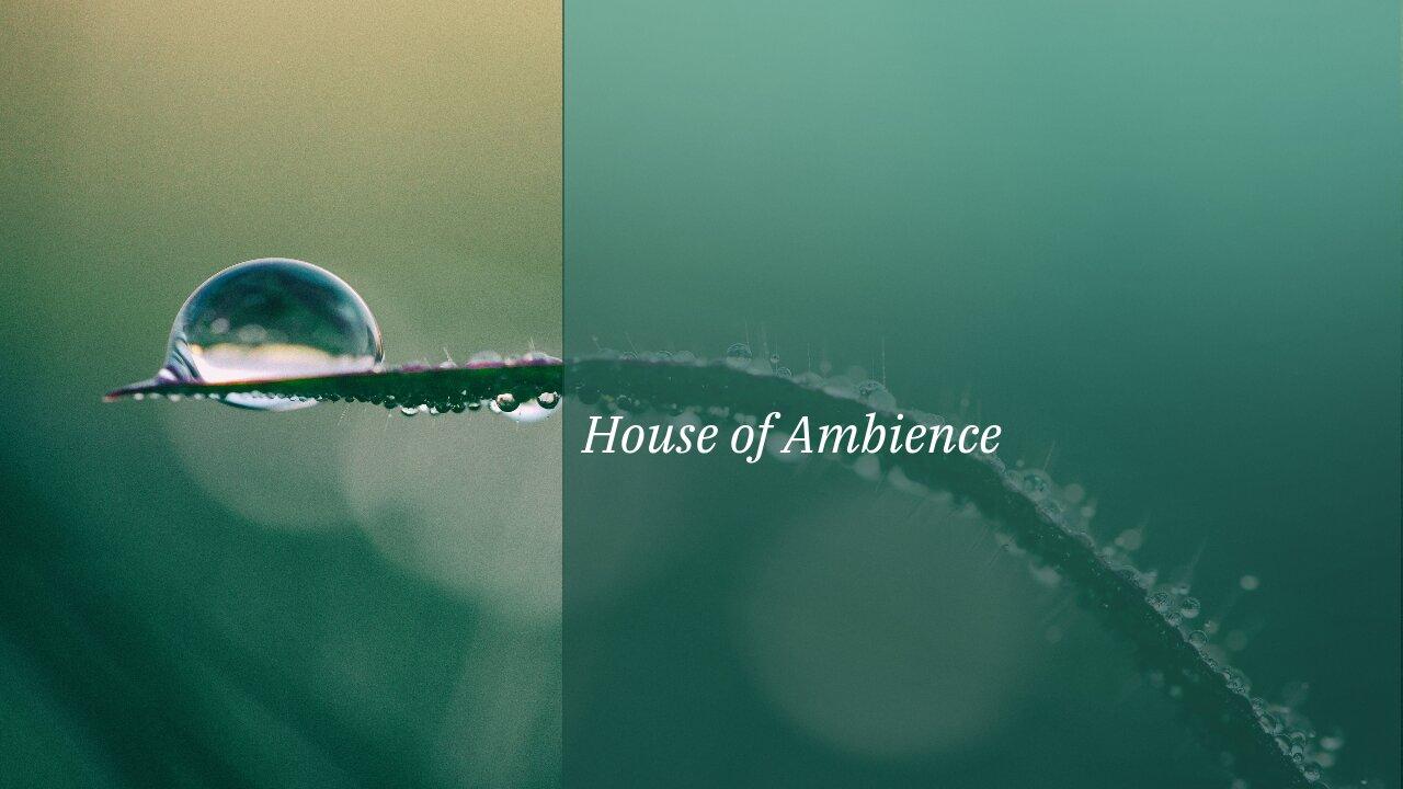 Rain Ambience - Rain Sounds for Sleeping - Beat Insomnia, Relax, Study, Reduce Stress.