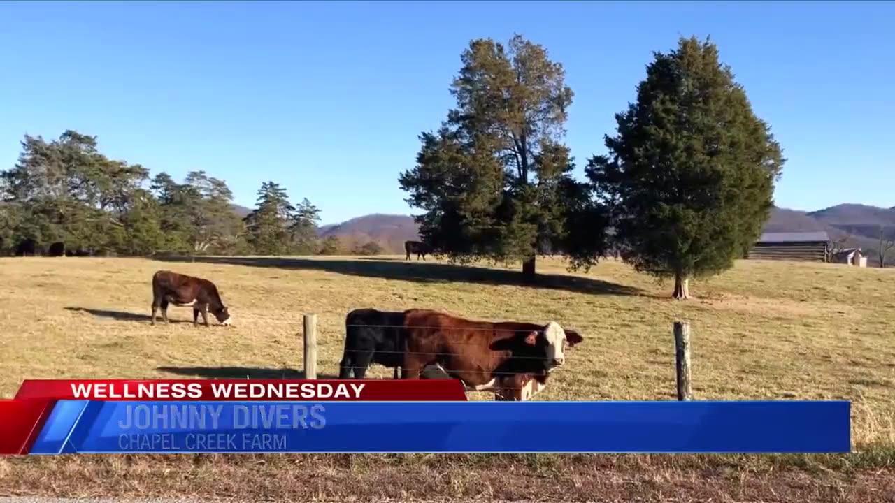 UN to Call on Americans to Curb Meat Consumption