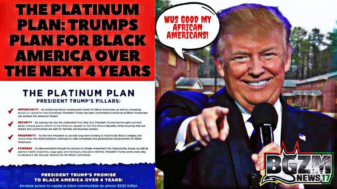 The Platinum Plan: Trumps Plan for Black America Over the Next 4 Years