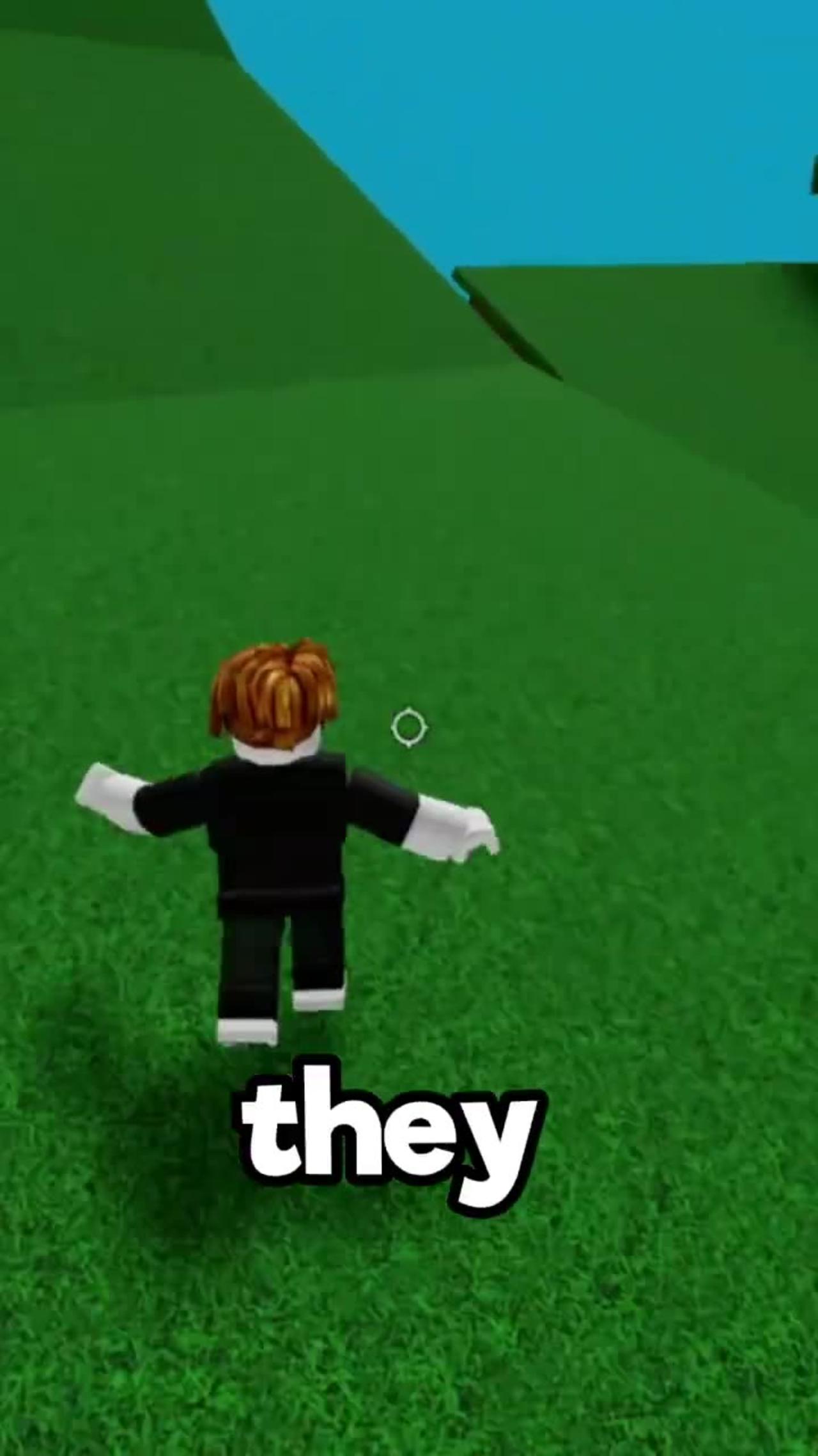 NEVER Play Roblox With Flamingo!