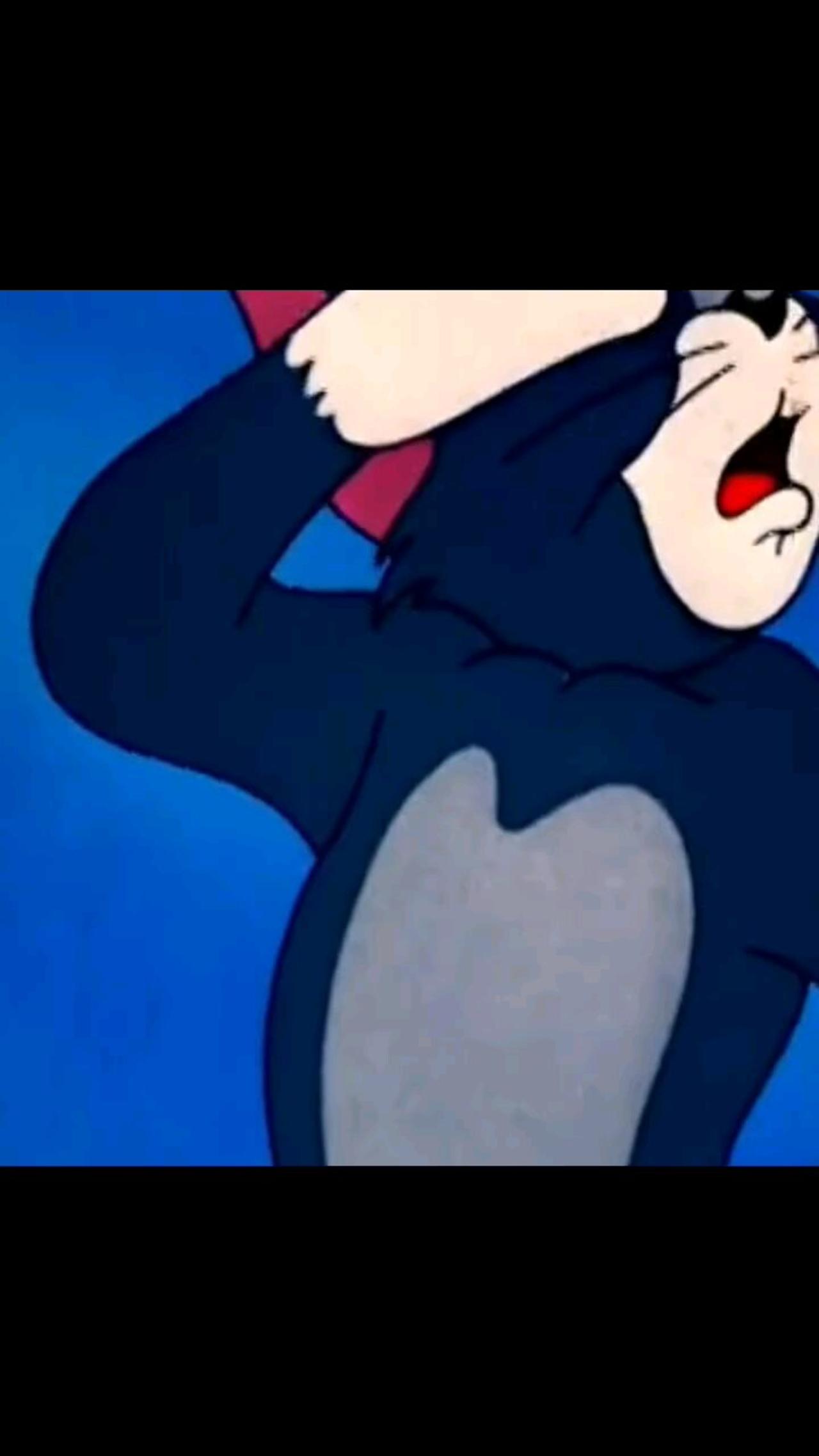Tom and Jerry Lover - #alshaikzs #foryoupage #youtubeshorts #monetizationviews #animal