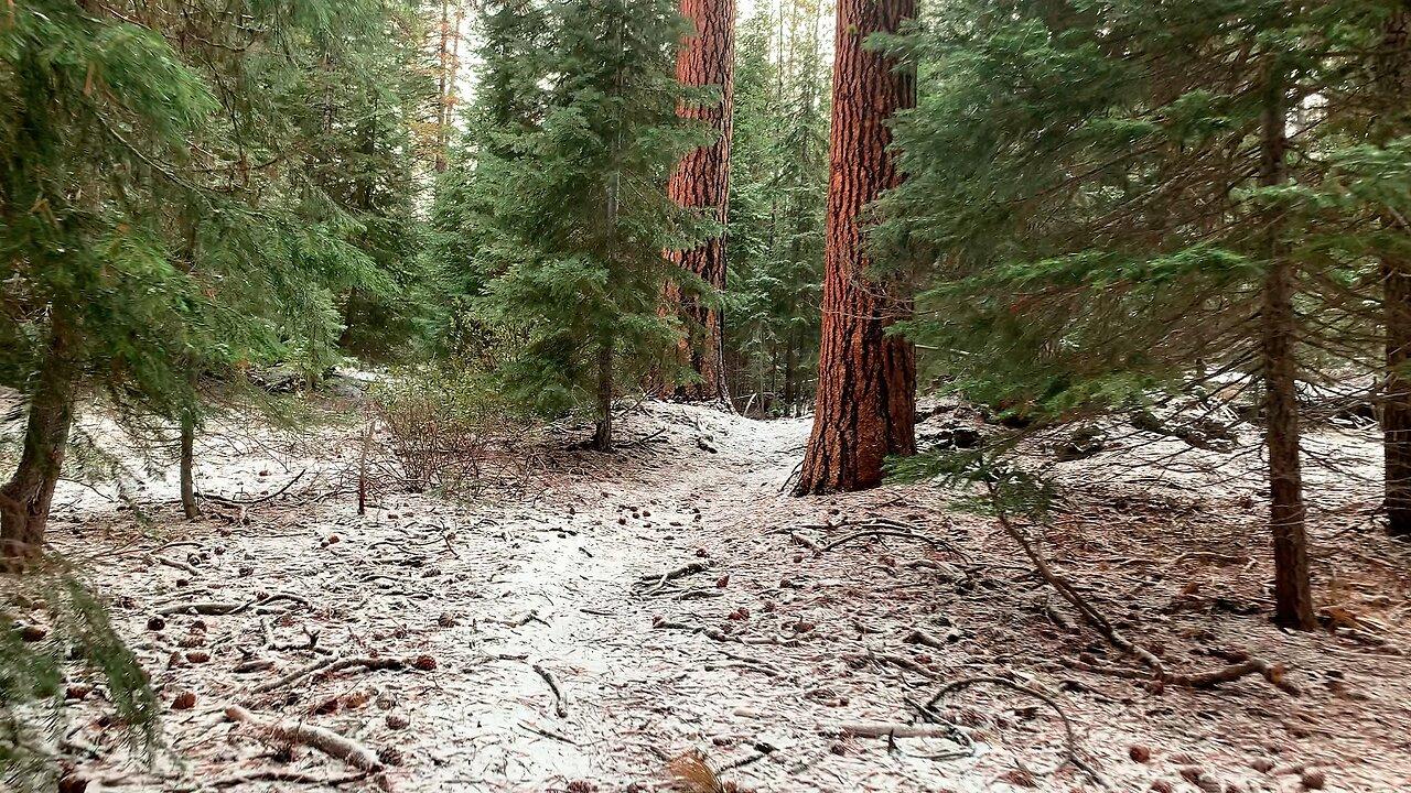 Leaving Edison Log Cabin Shelter & SILENT 4K SERENE & PRISTINE Winter Snow Hiking! | Central Oregon