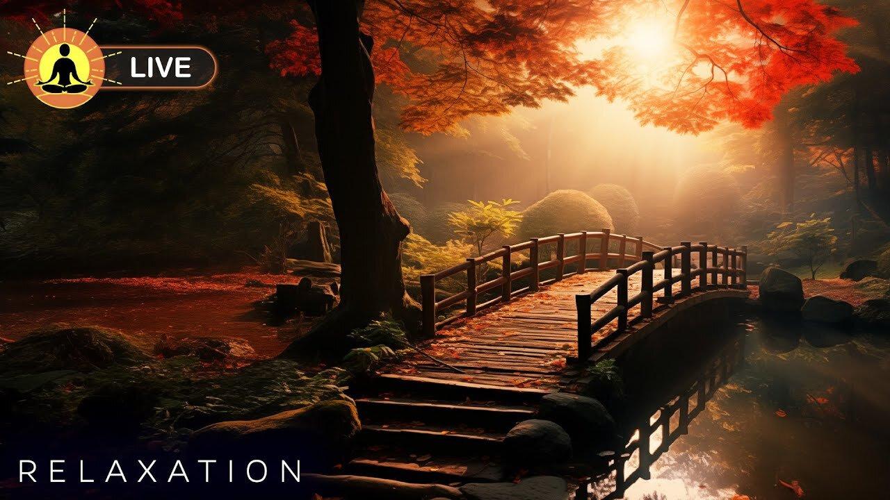 Relaxing Music For Stress Relief Anxiety And One News Page Video