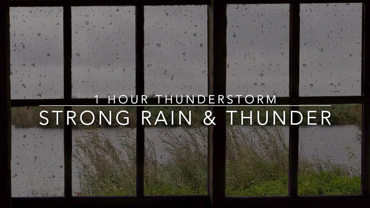Heavy Rain No Thunder - Heavy Rain Without Thunder - Rain Sounds For Sleep