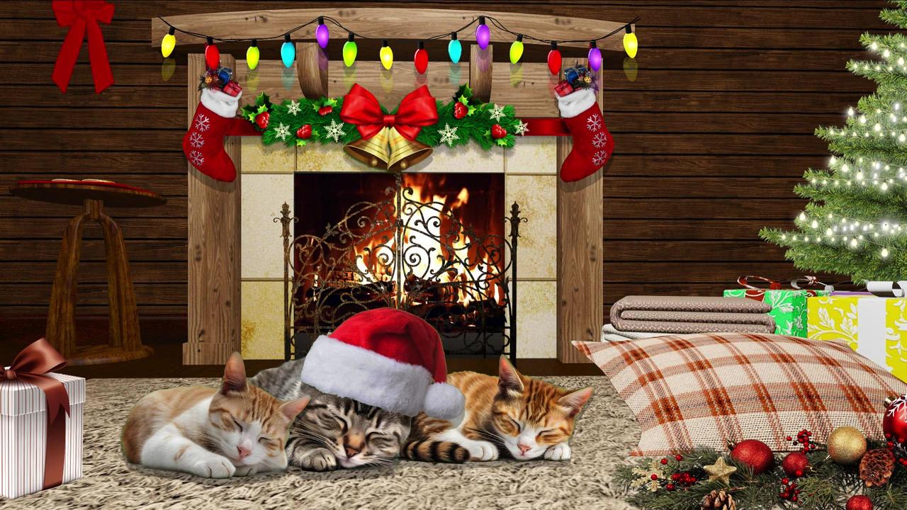 Christmas Tree, Cats, & Fireplace