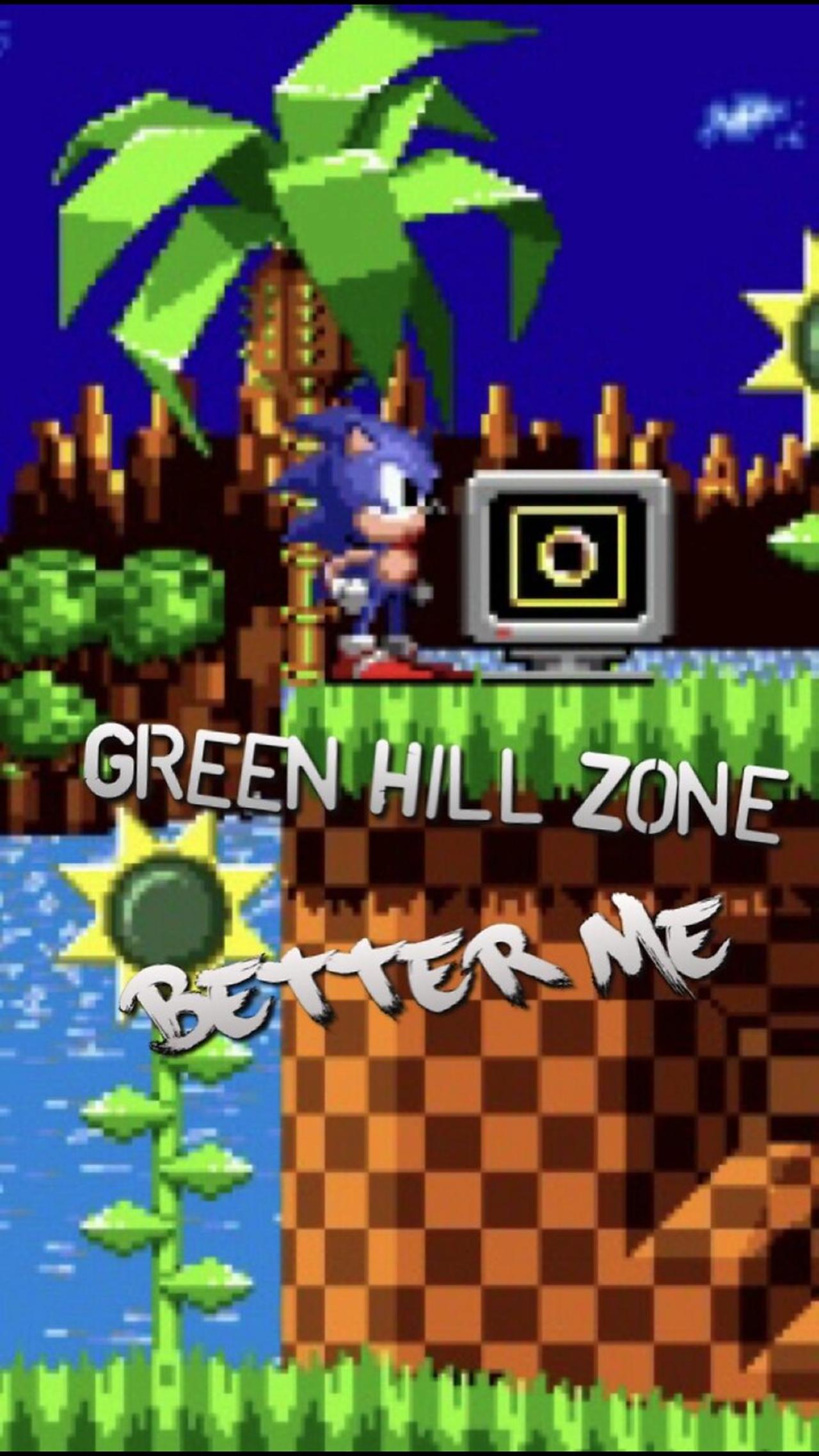 “Better Me” Green Hill Zone PARODY song