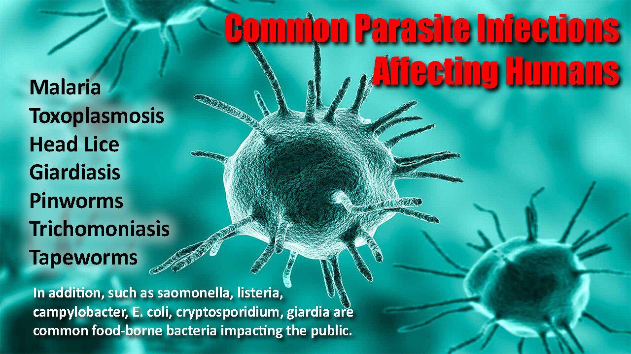 Common Parasite Infections Affecting Humans - Tech and Future Talk