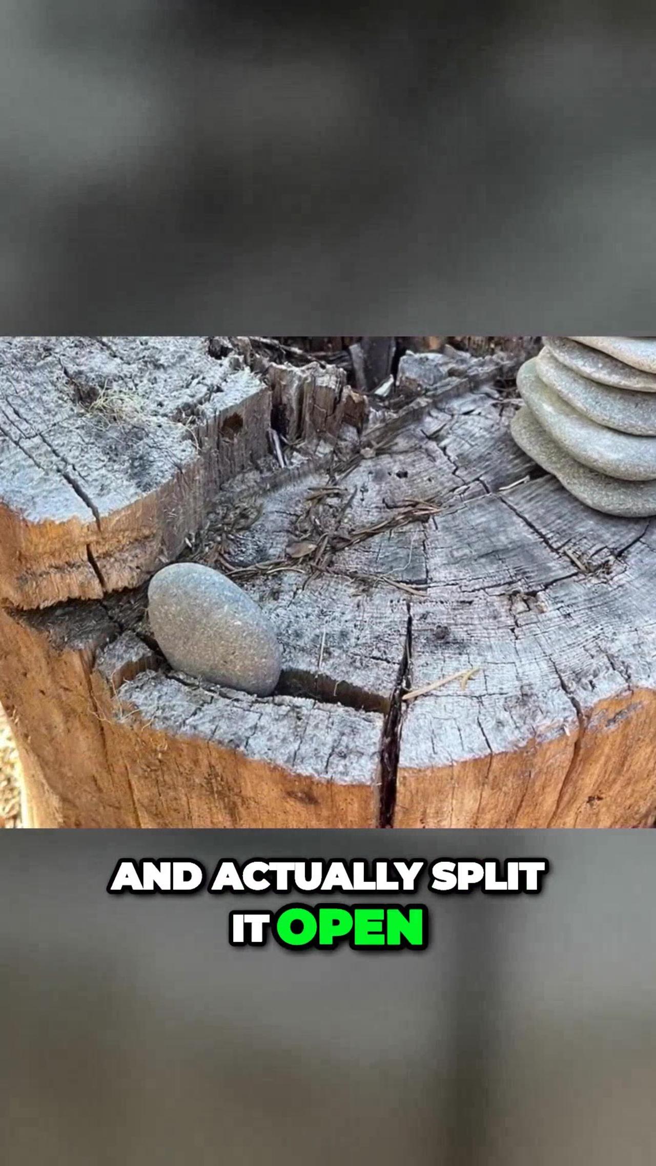 76L1G: The Justpeacchyyy Leak That'S Rocking The Internet! - yd473c7