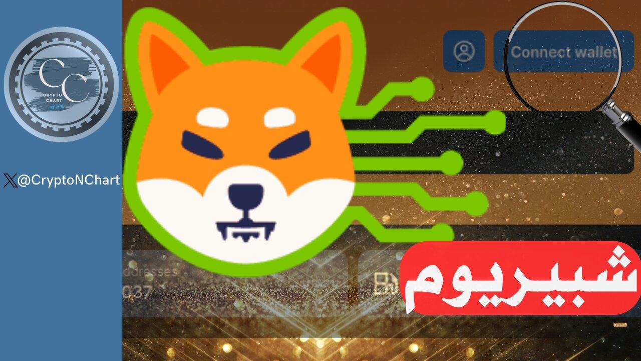 آخر المستجدات Shibainu One News Page Video 7151