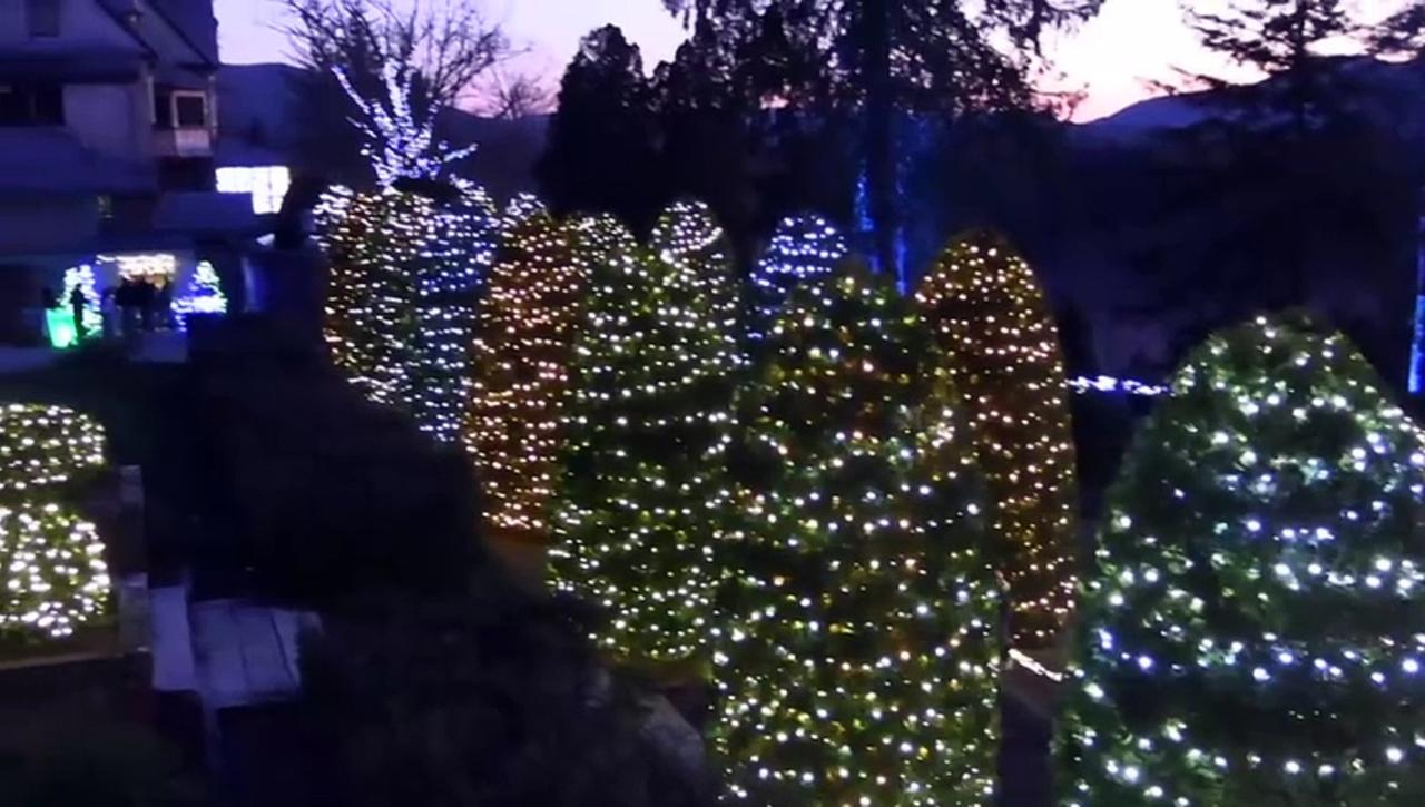 Holiday lights shine in Massachusetts' Naumkeag public garden