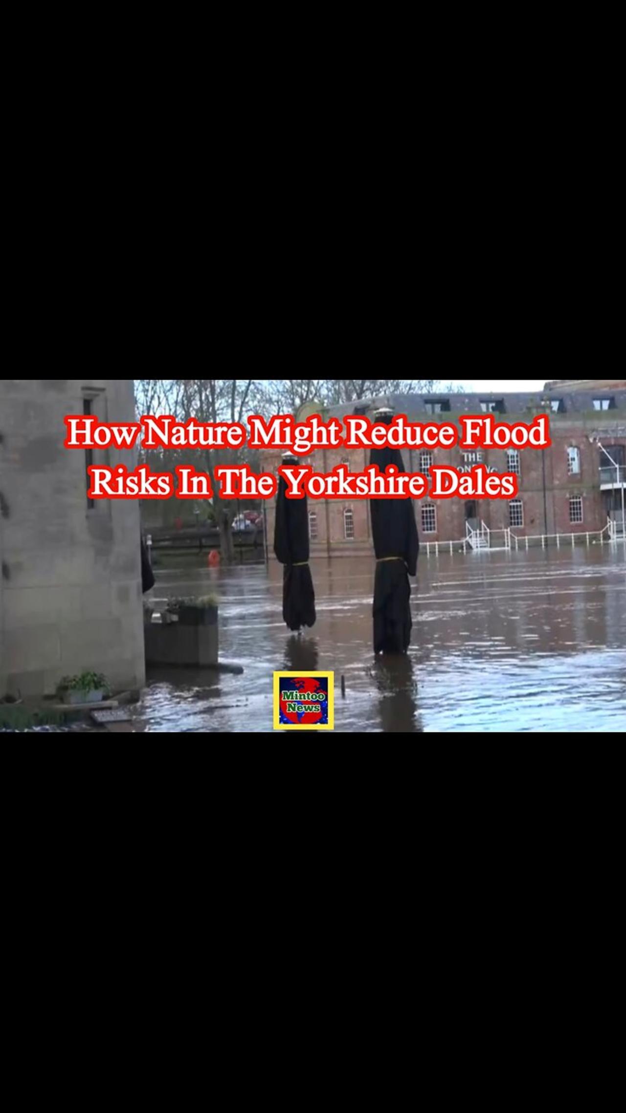 How nature might reduce flood risks in the Yorkshire Dales