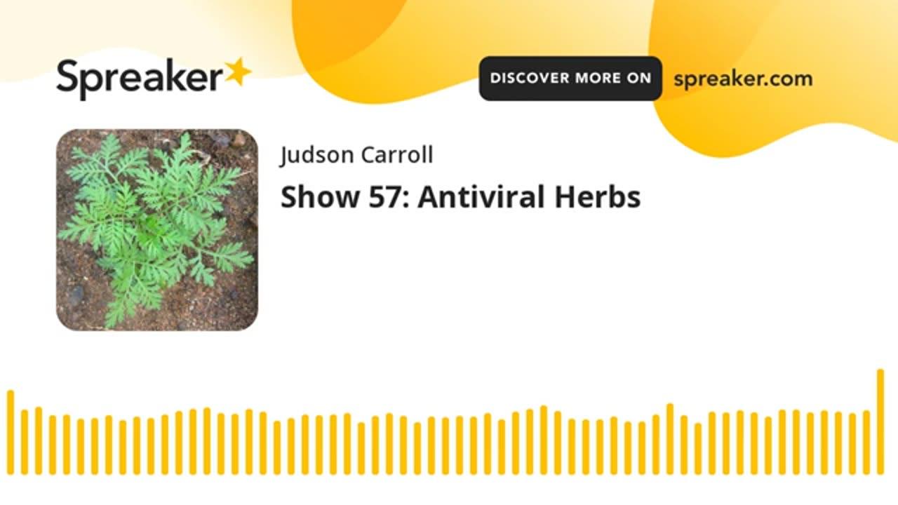 Show 57: Antiviral Herbs