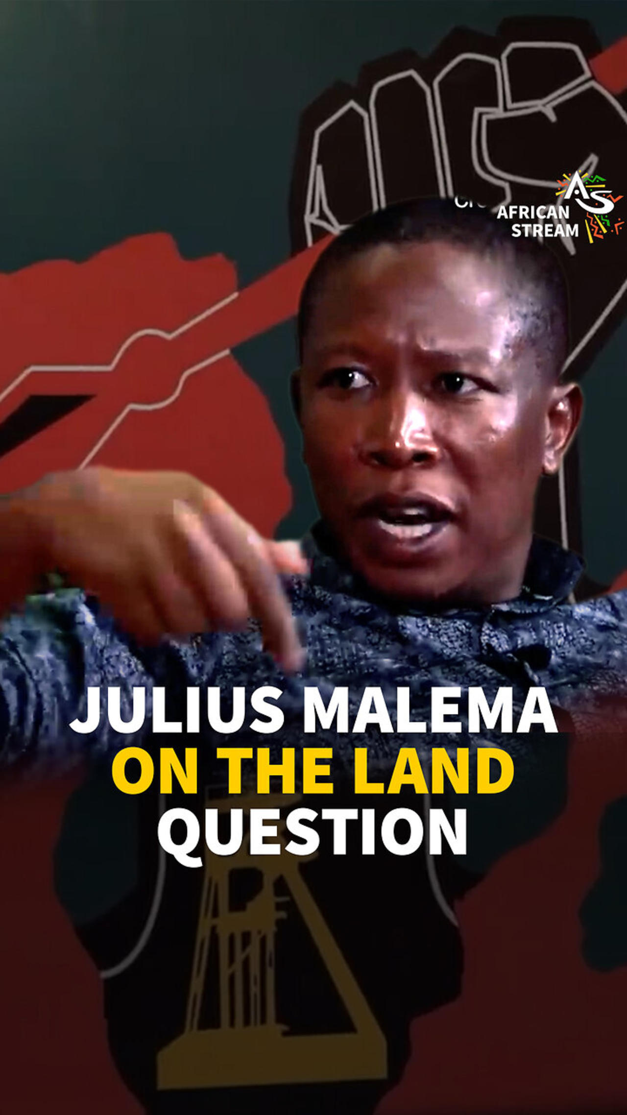 JULIUS MALEMA ON THE LAND QUESTION