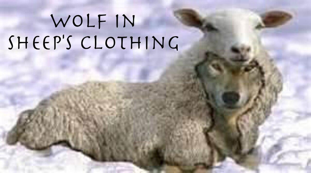 Wolf in Sheep's Clothing - Saul Alinsky, Father of Community Organizing