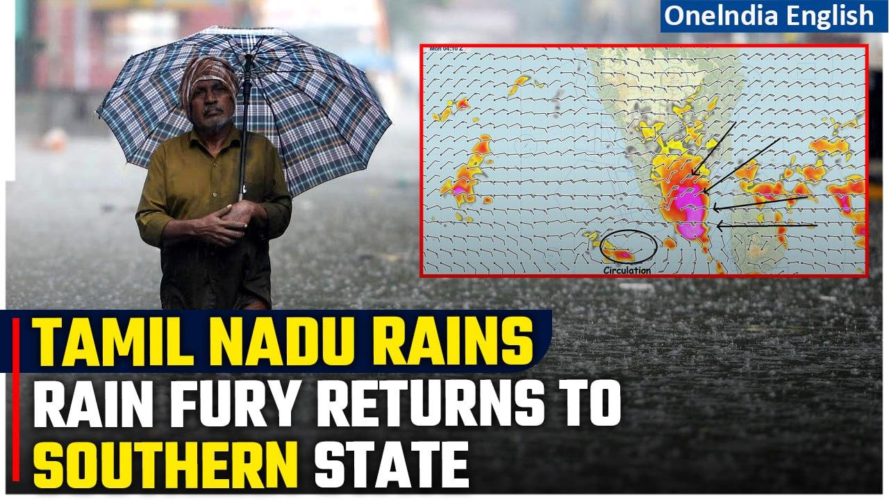 Tamil Nadu Rains: Train Services Disrupted, Educational Institutes Closed as Heavy Rains Return