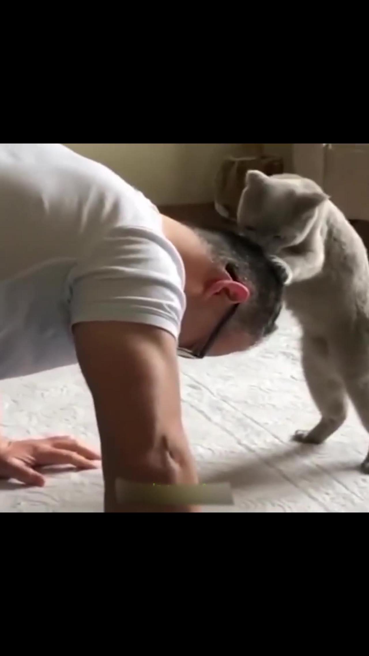 Funny animal videos part-14