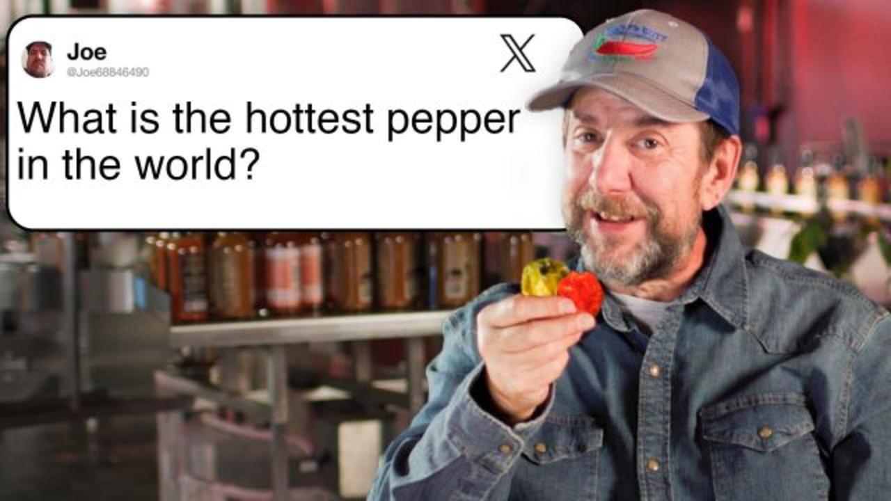 Pepper Expert Ed Currie Answers Pepper Questions From Twitter