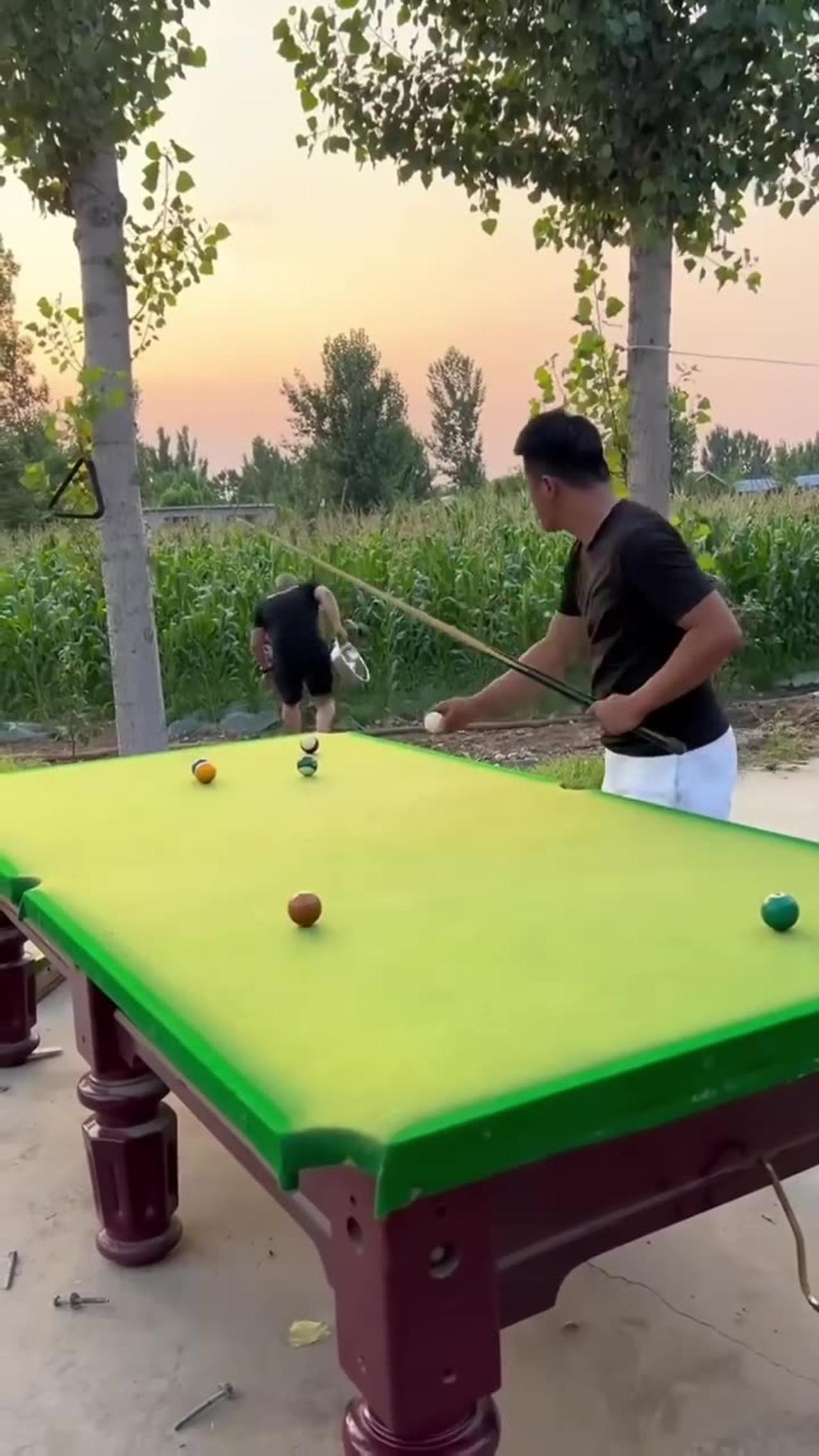 Funny Video Billiards million views | p337 🎱