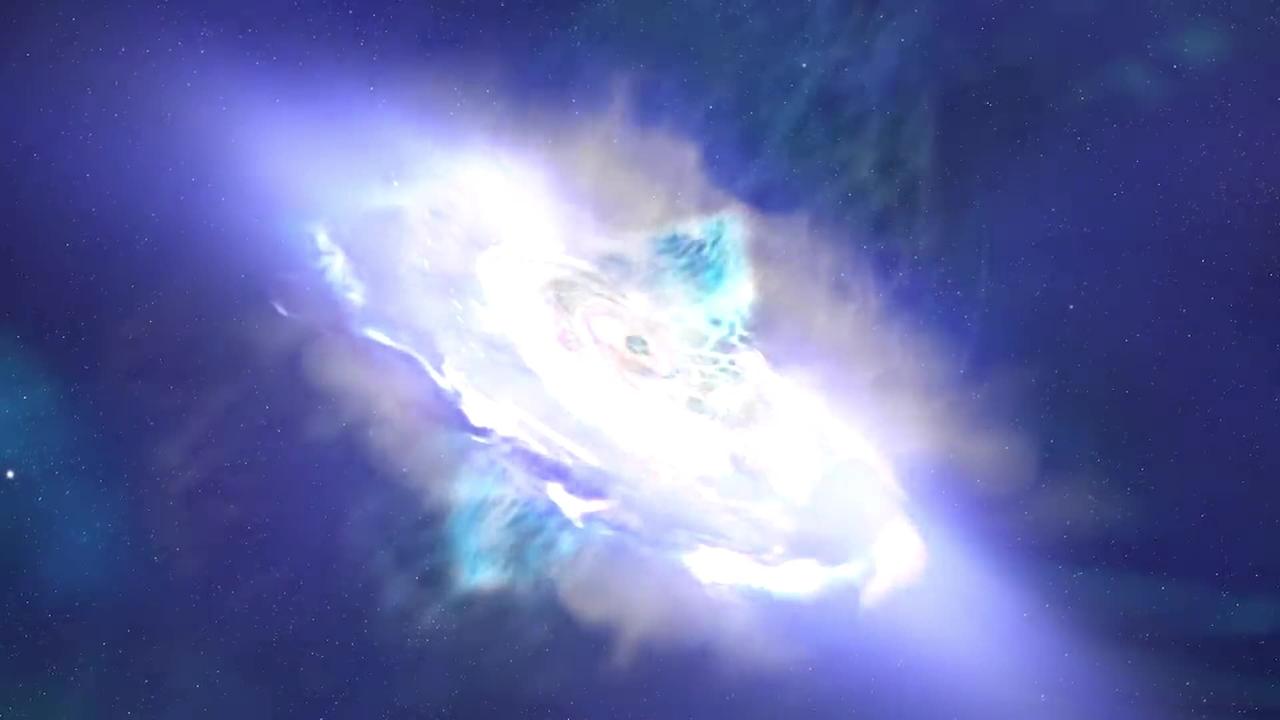 A Black Hole's Magnetic,,,,,,,,,,,,,, Reversal