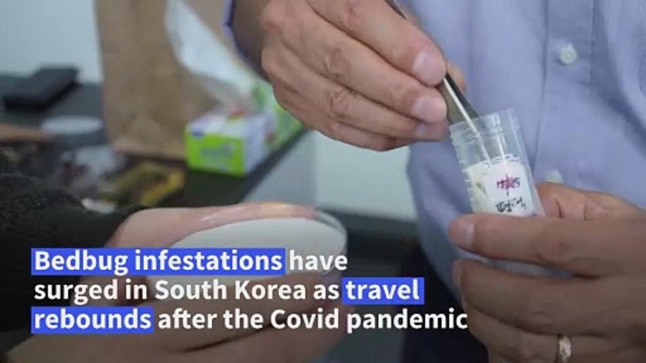 South Korean engineer fights bedbugs with data